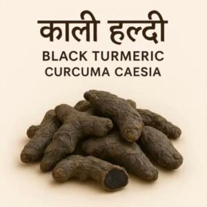 Bhadrakali Haldi Black Turmeric
